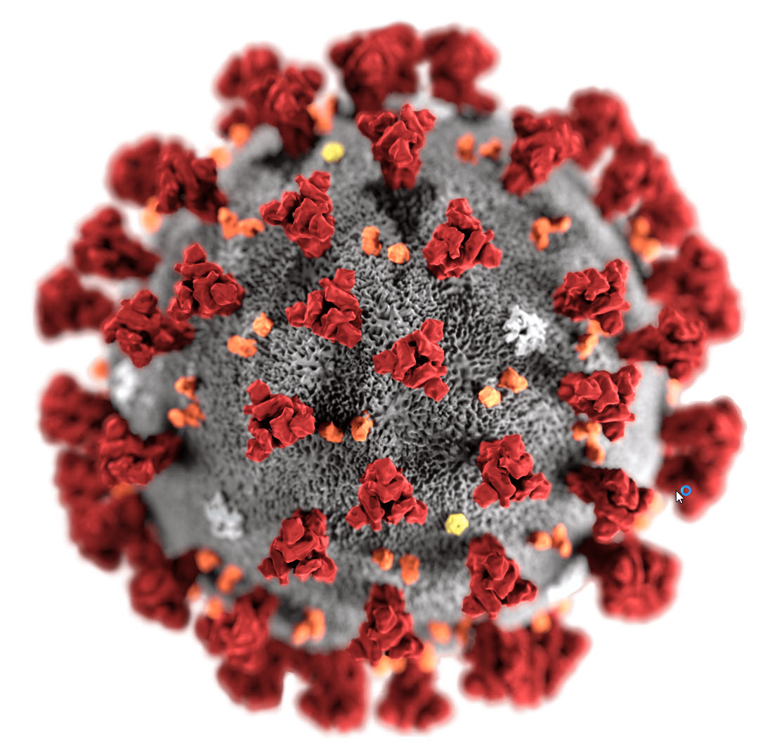 coronavirus