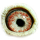 B2171301 14 Giulietta eye