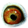 B2289576 16 Miracoli eye
