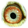 B2312375 16 FataMorgana eye b