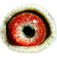 B3056133 13 ProudMary eye
