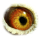 B3148701 13 BigDeal eye b