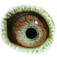 B3150591 14 Skyfall eye b