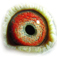 B3155878 14 AmazingRudy eye