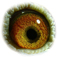 B4033126 14 Orphelia eye b