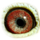 B5153629 13 OutOfTheBlue eye